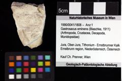 Foto (Objket + Etiketten) von Cracensigillatus acutirostris (Moericke, 1889) 